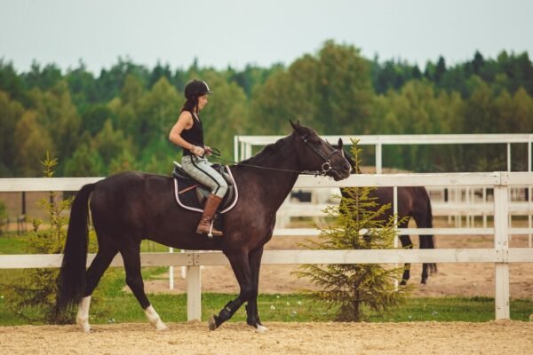 Riding a Horse